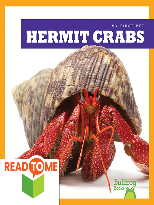 Hermit crabs 2024 for kids